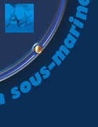 Vision Sous marine Ile de la R�union.